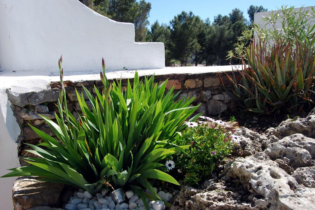 Villa La Roca - A Fusion Of Modern And Typical Andalucian Architecture Монтекорто Экстерьер фото