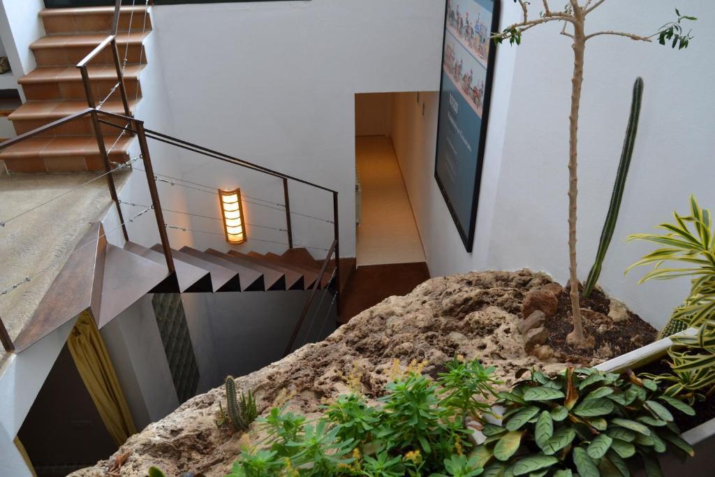 Villa La Roca - A Fusion Of Modern And Typical Andalucian Architecture Монтекорто Экстерьер фото