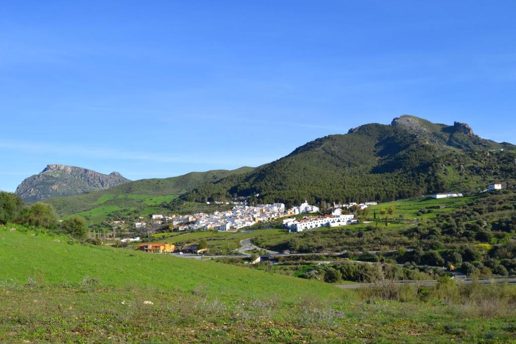 Villa La Roca - A Fusion Of Modern And Typical Andalucian Architecture Монтекорто Экстерьер фото
